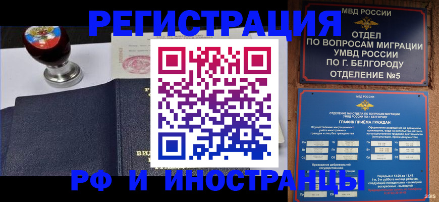 временная регистрация поиск в Волоколамске